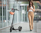 Dank eines Deals ist der straßenzugelassene Ninebot KickScooter F20D für 300 Euro erhältlich (Bild: Segway)