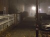 OnePlus 7T Pro | 3-fach-Zoom