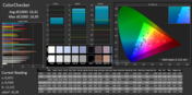 CalMAN ColorChecker: hohes DeltaE