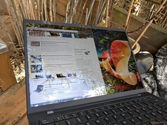 Outdoor (Schatten)